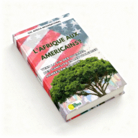 l’afrique aux amÉricains vers la fin des guerres, des conflits et des violences armÉes