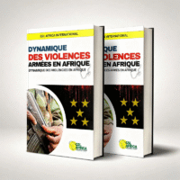 dynamique des violences armÉes en afrique
