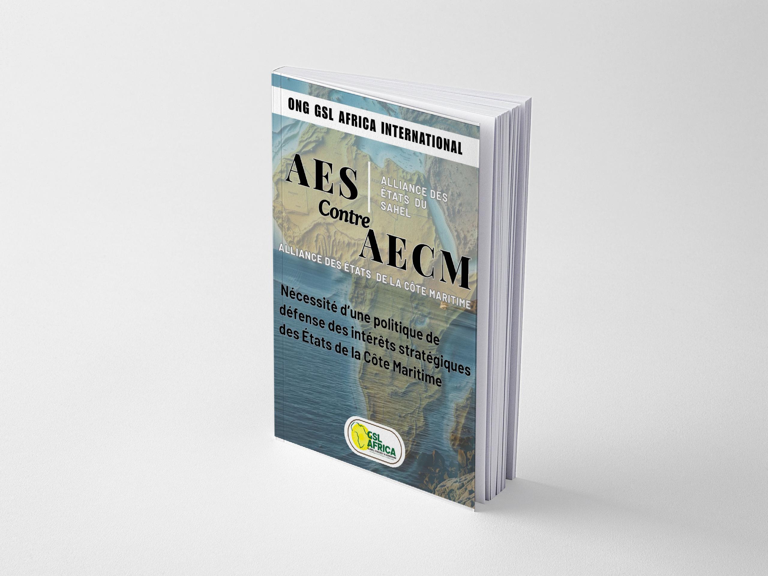 alliance des etats du sahel contre alliance des etats de la cÔte maritime