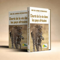 chertÉ de la vie dans les pays africains