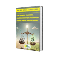 accÈs humanitaire et contraintes sÉcuritaires dans la rÉgion des grands lacs en afrique : enjeux et alternatives possibles