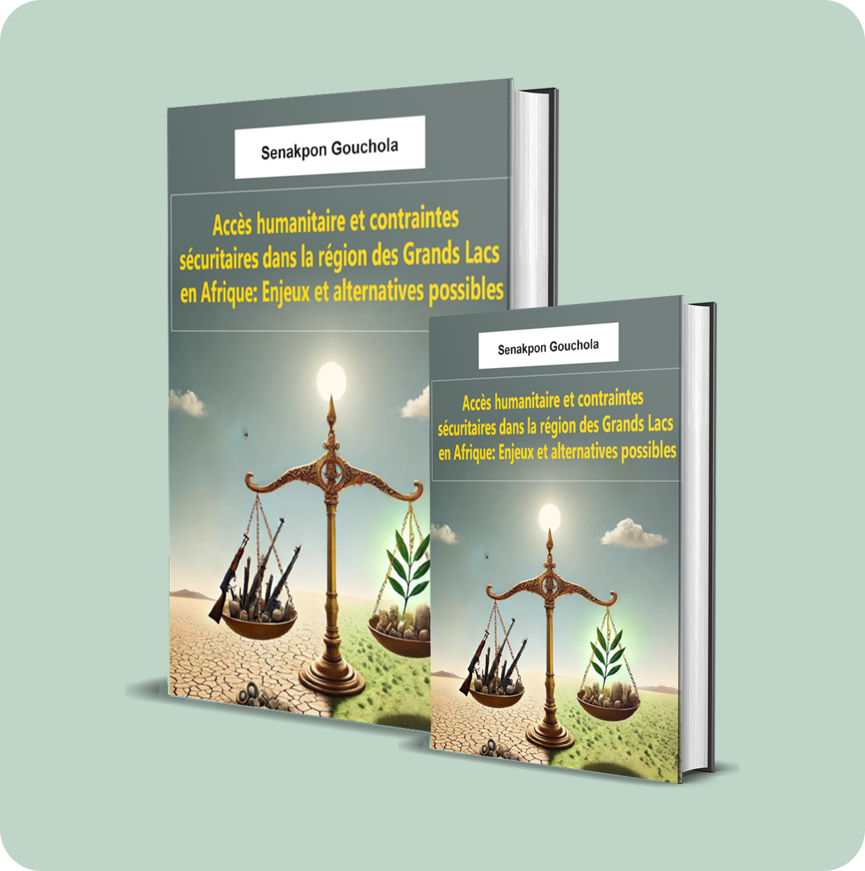 accÈs humanitaire et contraintes sÉcuritaires dans la rÉgion des grands lacs en afrique : enjeux et alternatives possibles