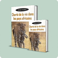 chertÉ de la vie dans les pays africains