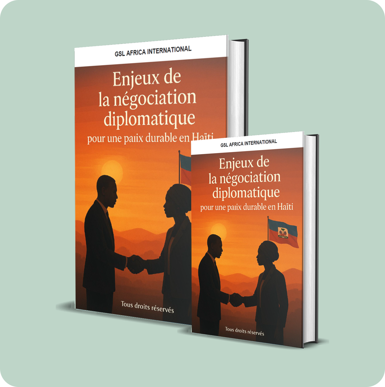 enjeux de la nÉgociation diplomatique pour une paix durable en haÏti