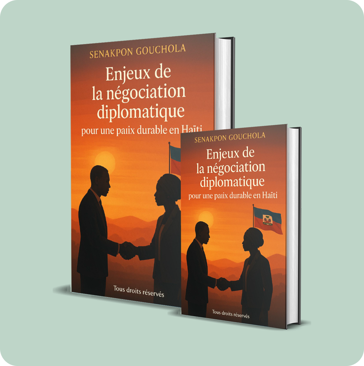enjeux de la nÉgociation diplomatique pour une paix durable en haÏti